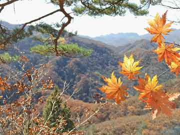武陵山天池底材揭秘，304不锈钢的绿色选择与景区回应